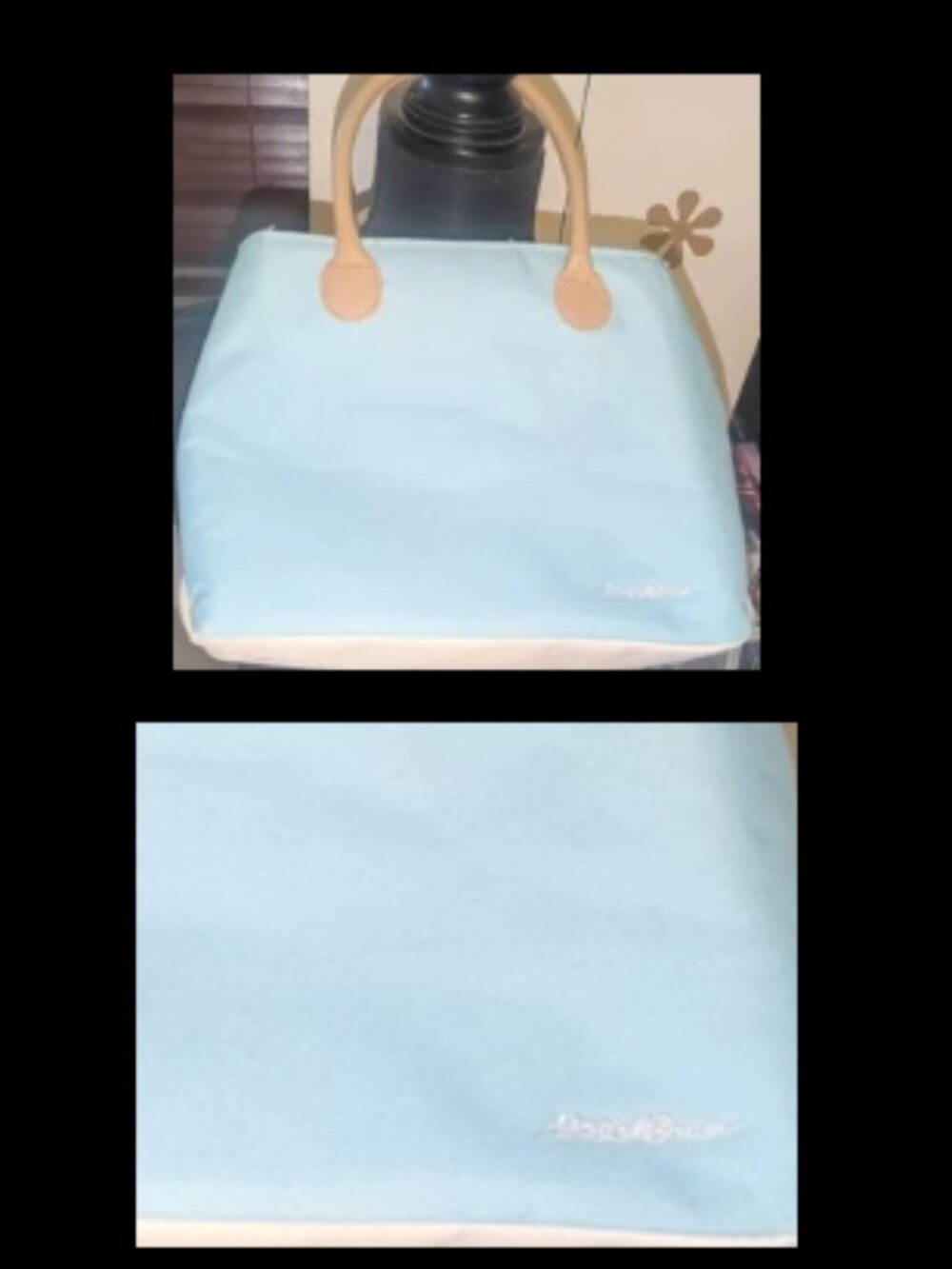 EDDIE BAUER Frozn To The Core Insulated Canvas Handbag Bag Purse - Baby Blue